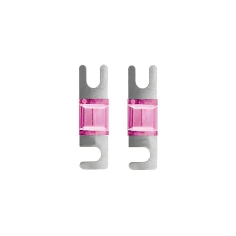 Lage Kosten Mini Anl Audio Zekering 200a - 2 Stuks