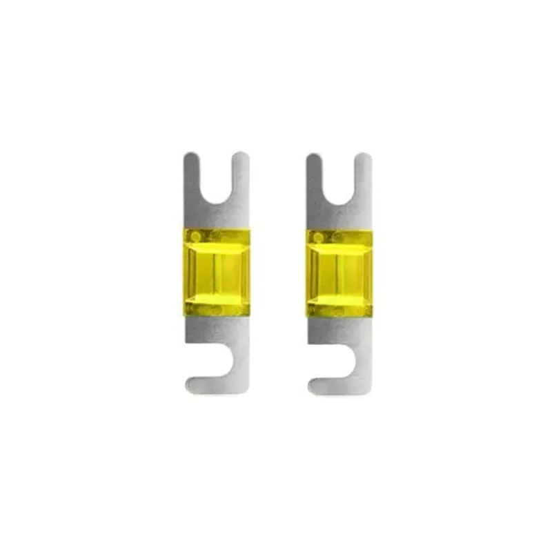 Direct Beschikbaar Mini Anl Audio Zekering 20a - 2 Stuks