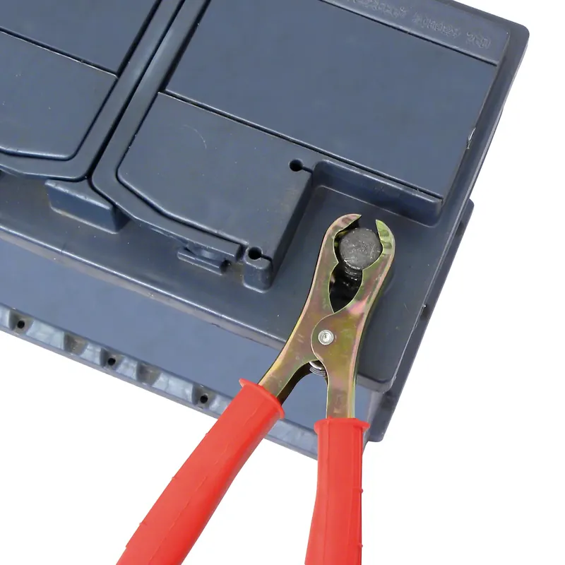 Carpoint Accupooltang Bestel Nu