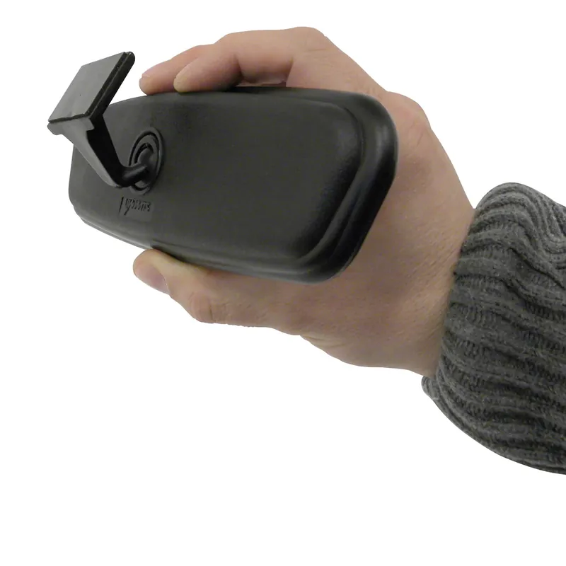 Carpoint Plakstrips Binnenspiegel Origineel