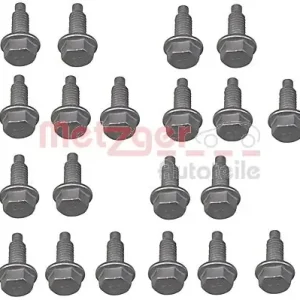 Afsluitschroef versnellingsbakbehuizing Metzger 8029031 Ambachtelijk