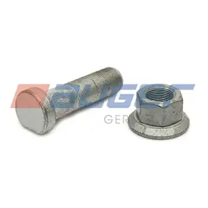 Wielbout/moer Auger 80595 Alleen Vandaag