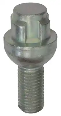 Wielbout/moer Restagraf 188605 Nu Kopen