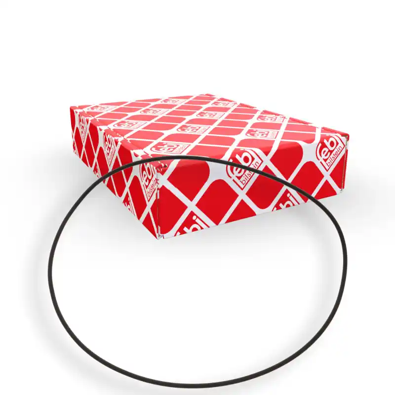 Seizoensaanbieding Wielnaaf afdichtring Febi Bilstein 100256