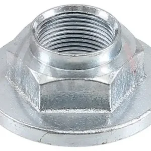 Wereldwijde Verzending Wielnaafmoer ABS 911770