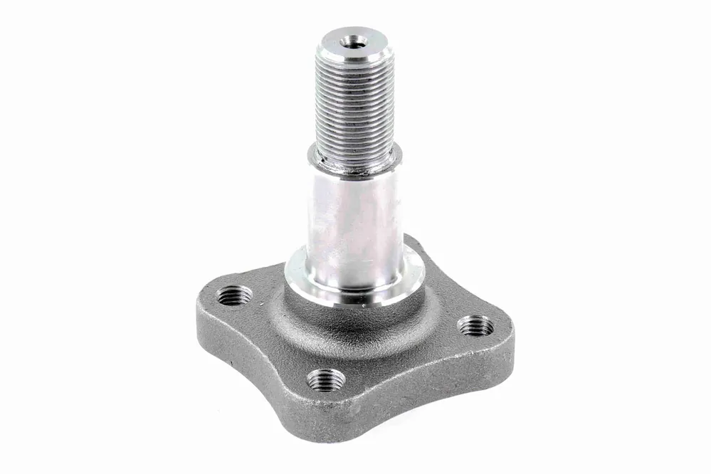 Beperkte Voorraad Wielnaaf Vaico V21-0011