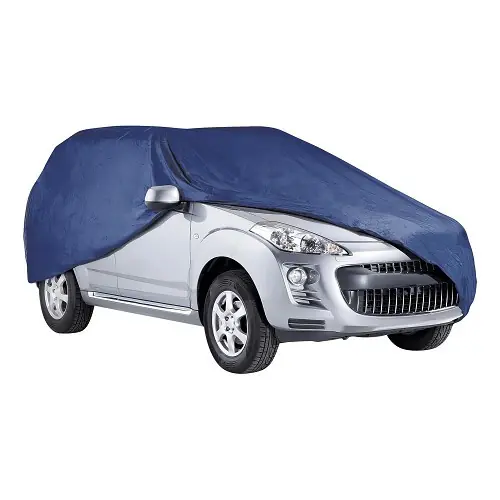 Outdoor autohoes 4,20 x 1,65 x 1,30 nylon blauw In De Mode