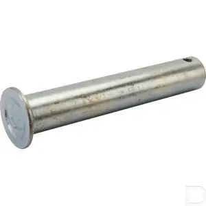 Seizoensaanbieding Scharnierpen verzinkt 24x50mm