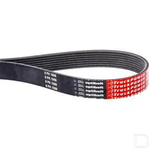 Ribbenband PK 4 ribben 1165mm Alleen Vandaag