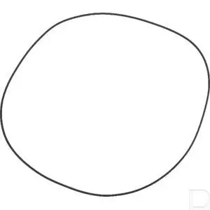 Alleen Vandaag Afdichtring-OR 3101 257.8x2.62