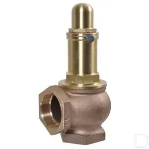 Hete Deal Overdrukklep 4 bar 2"1/2