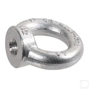 Oogmoer M6 RVS A2 DIN582 Groothandel