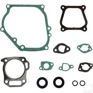 Pakkingset motor Ambachtelijk