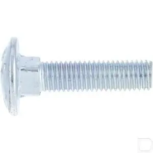 Slotbout M12x30 RVS A2 DIN603 Bestel Nu