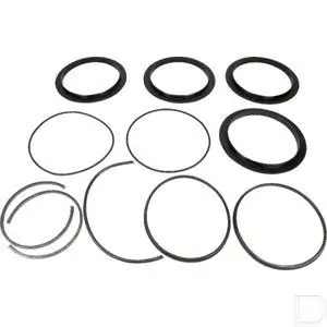 Express Levering Revisieset afdichting 10" BIDI