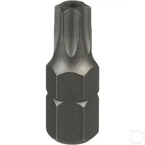 Wereldwijde Verzending Schroefbit 10mm 6-kant met Torx TXB45 met boring 45mm lang