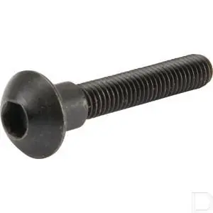 Bout M5x31 Gereduceerde Prijs