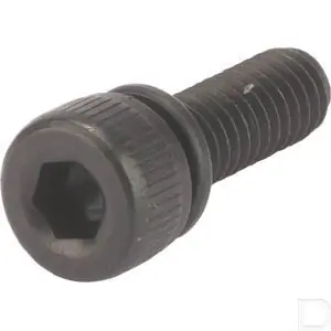 Binnenzeskantbout M4X12/S Ambachtelijk