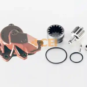 Rechtstreeks Van De Fabrikant Oliepomp C.E.I. 298.623