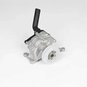 Oliepomp BSG BSG 60-101-002 Goedkoop