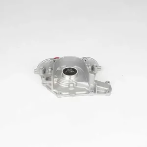 Oliepomp BSG BSG 65-101-007 Koop Vandaag