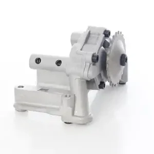 Gecertificeerd Oliepomp BSG BSG 90-101-003