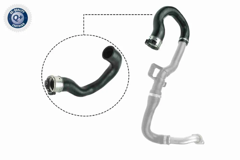 Rechtstreeks Van De Fabrikant Laadlucht-/turboslang Vaico V40-1516